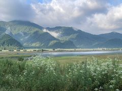 -大九湖