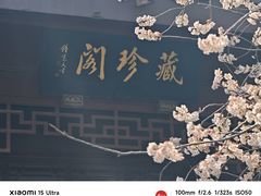 -堤角公园