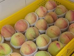 -老袁家蜜桃农场·阳山水蜜桃