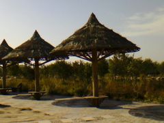 景点-南湖湿地公园