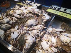 -鑫福隆生鲜超市(沈营大街店)