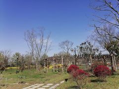 -东明山森林公园