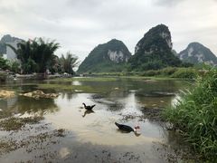 -靖西鹅泉风景区