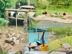 -青藏高原野生动物园