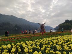 -广州市石门国家森林公园