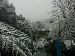 -十八棵（老龙井）御茶园(老龙井店)
