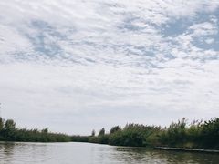 -泗洪洪泽湖湿地景区