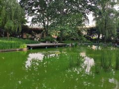 -静安公园(静安寺街道)