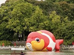 -西湖公园(鼓楼区)