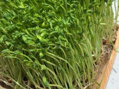 -千牛将·鲜牛肉火锅(开元路店)