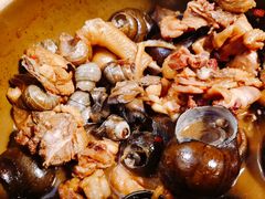 田螺鸡煲-食爺炭炉鸡煲·烧烤