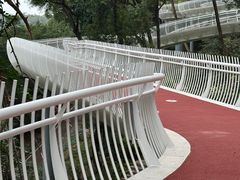-金鸡山公园