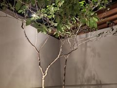 -沅江水·湖南家宴(南村万博长隆商圈店)