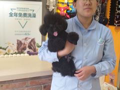 -我爱吾宠宠物美容院(朝阳路店)