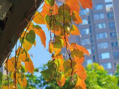 -大妙火锅·非物质文化遗产(东湖公园店)