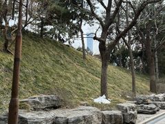 -团结湖公园