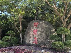-野狸岛