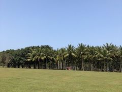 -万绿园