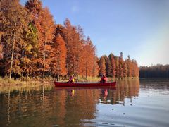 -上海海湾国家森林公园