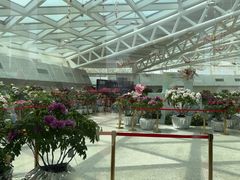 -曹州牡丹园