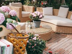 -大隐花事(熊婆婆的花园店)