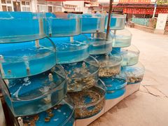 水产区-晓伟海鲜家常菜