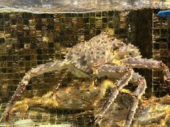 -海鲜e族(马王堆店)