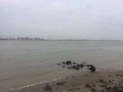 -海鸥岛