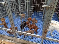 -萌宠亲子动物乐园(槐房万达店)