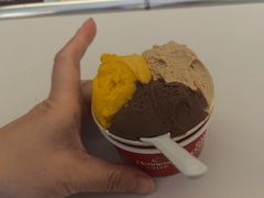 -Dal Cuore 达可芮冰淇淋(陕西北路店)