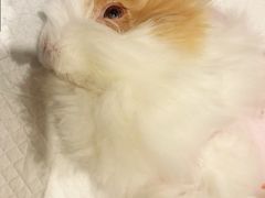 -美迦爱-牙专科·兔科·骨科诊疗中心(北苑店)