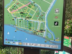 -合肥滨湖国家森林公园