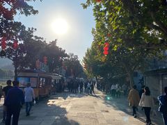 -溪口-滕头旅游景区