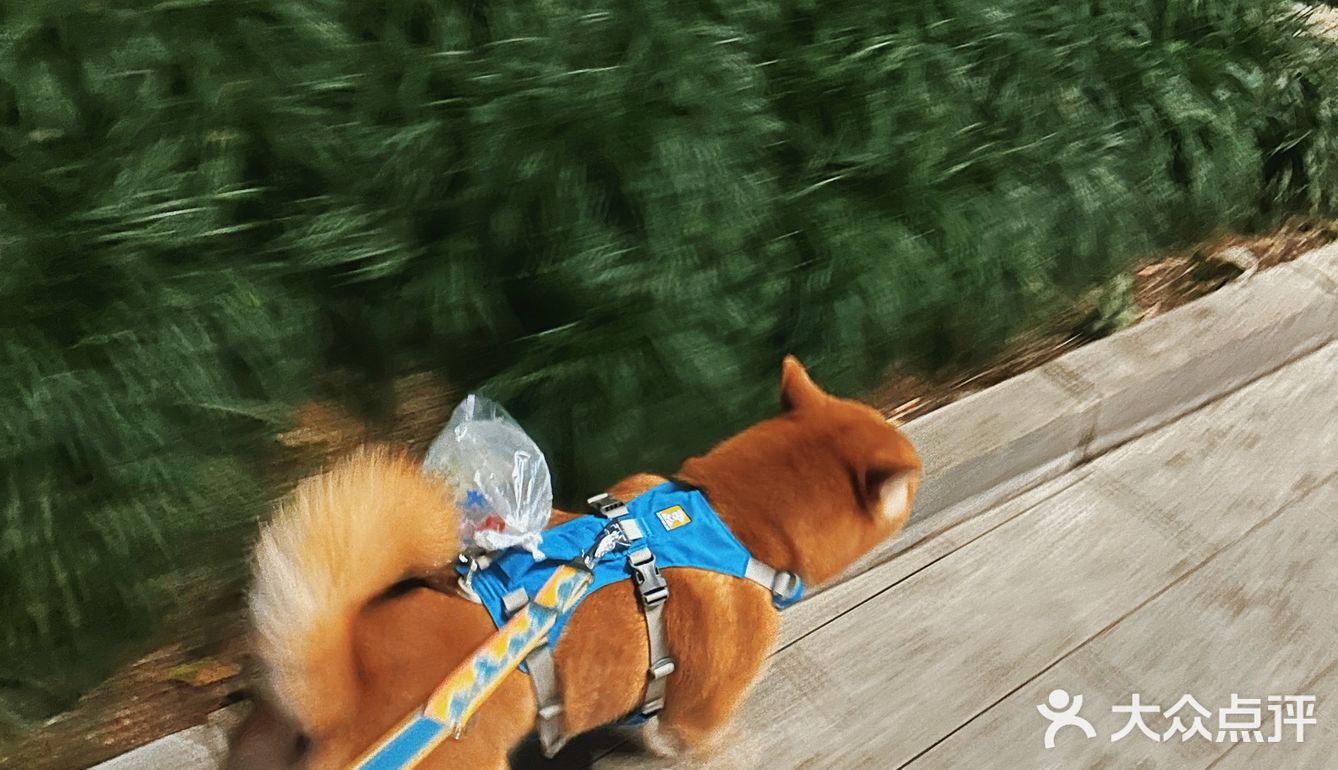 正对着嘉陵江。人多聚餐，提前订好了包房