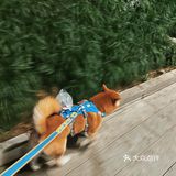 正对着嘉陵江。人多聚餐，提前订好了包房