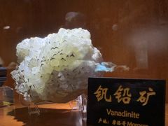 -青岛德国总督楼旧址博物馆