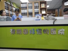 -奈斯宠物医院·核磁CT·异宠专科·内镜(中南店)