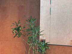 -M Stand(深圳龙岗万科广场店)