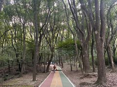 -惠山国家森林公园