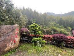 -长谷洞天