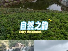 -白马涧龙池景区
