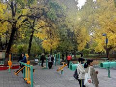 -丰台花园