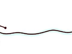 -雷门拉面店(新光天地店)