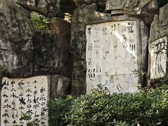 -白沙古井