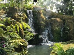 -Chom Cafe and Restaurant