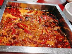 -二荆条·蜀鲜汇城市森林火锅