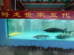-年辉渔村·非遗传承餐厅(新丰江店)