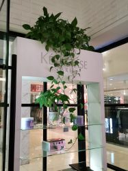 -东方麒麟·潘多拉SALON