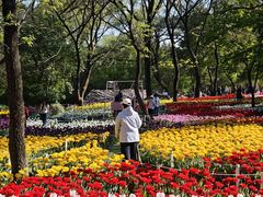 -沈阳植物园