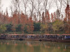 -溱湖国家湿地公园